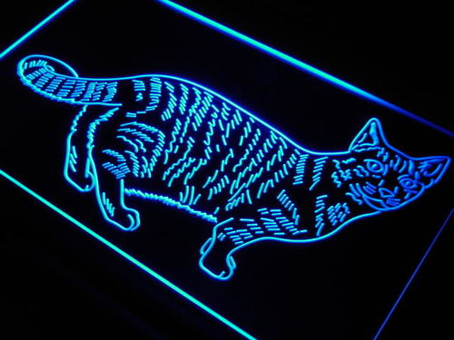 Cat Kitty Home Pet Display Love Neon Light Sign